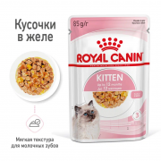 Royal Canin Kitten Корм консервированный для котят в период второй фазы роста до 12 месяцев, желе