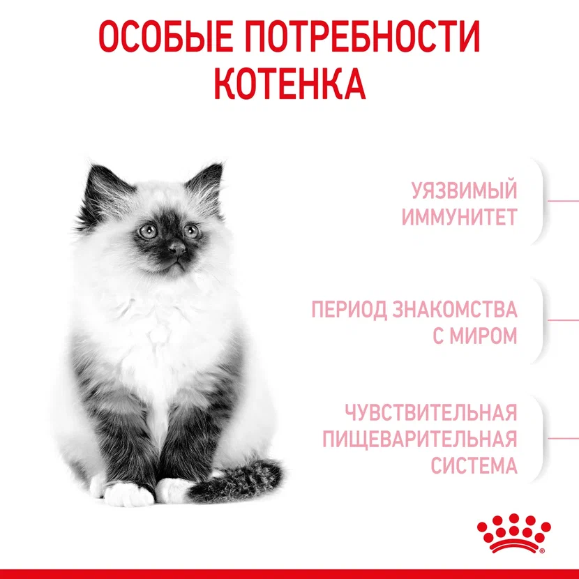  Royal Canin Kitten Корм сухой сбалансированный для котят в период второй фазы роста до 12 месяцев