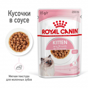 Royal Canin Kitten Корм консервированный для котят в период второй фазы роста до 12 месяцев, соус