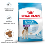 Royal Canin Giant Junior Корм сухой для щенков очень крупных размеров от 8 месяцев
